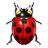 IconBug48.png